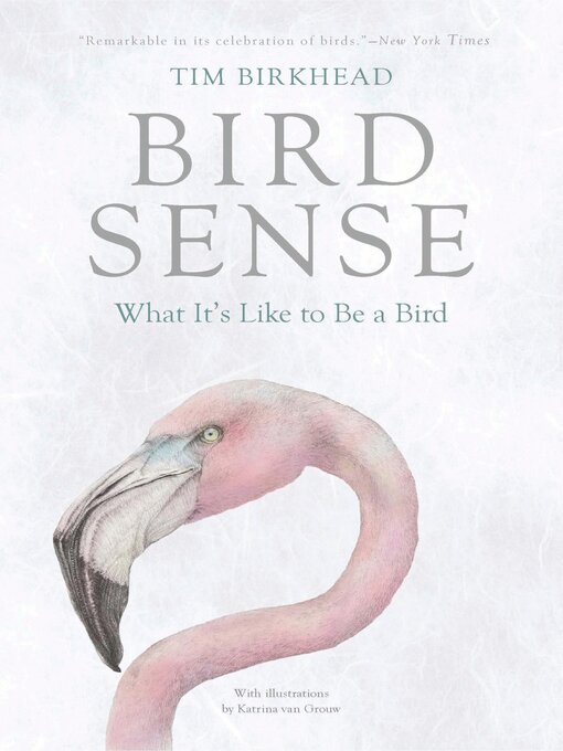 Title details for Bird Sense by Tim Birkhead - Available